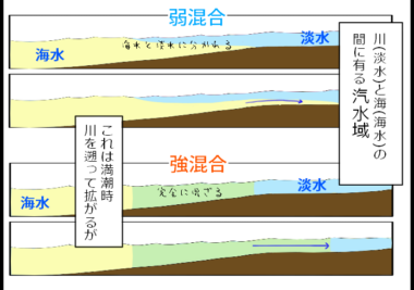 【第119回】2024年度エルクス研究会レポート①